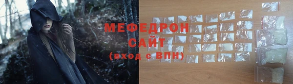 индика Новодвинск