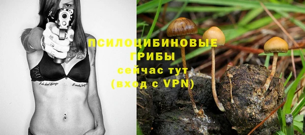 а пвп мука Алагир