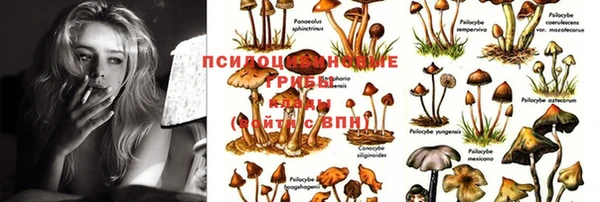 2c-b Осинники