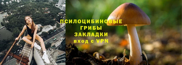 герыч Бородино